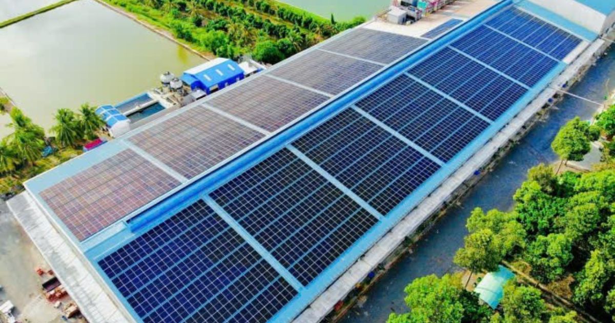 Tấm biển năng lượng mặt trời phủ kín nóc một nhà máy thuộc hệ sinh thái LC Foods Group.