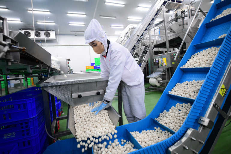 Bên trong dây chuyền sản xuất của LC Foods